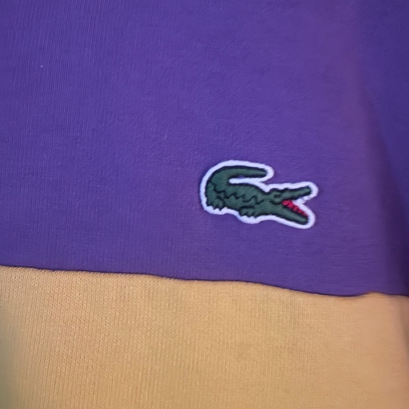 Lacoste Tri-Color Hoodie in Purple, Yellow, and Green - Picture 2 of 4